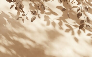 Sepia toned leaves and shadows on beige wall.