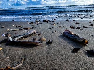 Am Hvidbjerg Strand in Dänemark