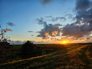 Am Hvidbjerg Strand in Dänemark