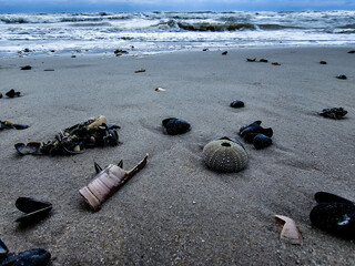 Am Hvidbjerg Strand in Dänemark