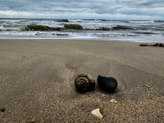 Am Hvidbjerg Strand in Dänemark