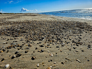 Am Hvidbjerg Strand in Dänemark