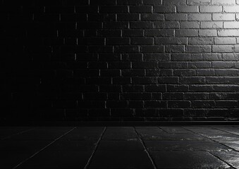 Dark brick wall background with floor.