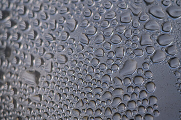 Raindrops gather on a window pane, creating a mesmerizing pattern of nature's artwork at dawn