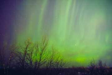 Aurora borealis, polar lights with Milky Way stars.