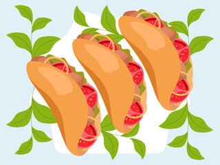 Taco Concept Illustration Stylish and Beautiful