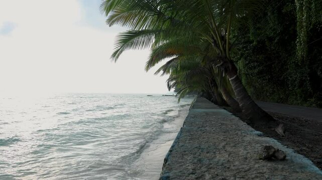 sea shore view with coconut tree at morning from flat angle video is taken at Kala Pathar Beach havelock Andaman and Nicobar Islands.