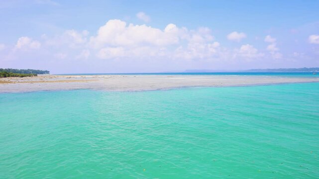 Blue Sea Coastline with Mangrove Forest Under Bright Sky at neil Island at Andaman and Nicobar Islands.