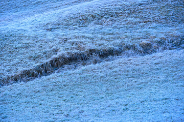 High angle view of frosted meadow at Swiss mountain village of Surava on a sunny autumn day. Photo taken November 15th, 2024, Surava, Switzerland.