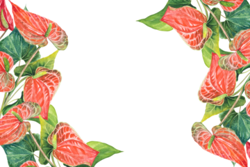 Anthurium, red flowers with green leaves, round frame. Watercolor illustration frame with anthurium flowers, hand drawn.