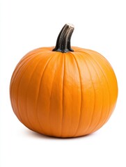 Harvest festival pumpkin farm market food photography bright studio close-up autumn celebration