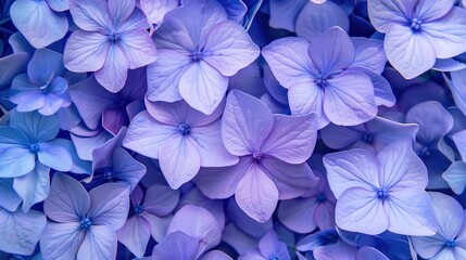 periwinkle seamless pattern wallpaper