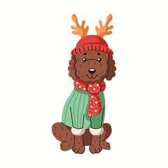 Cute poodle wearing hat with deer antlers and sweater flat color vector character. Funny dog in Christmas clothes illustration on white