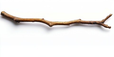 Obraz premium Single brown twig isolated on white background. (8)