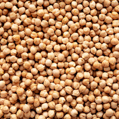 Dry Organic Chickpeas, top view. Flat lay. overhead, from above.