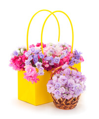  Saintpaulia in a basket.