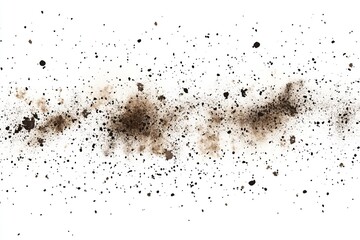 Brown dust particles scattered on white background.