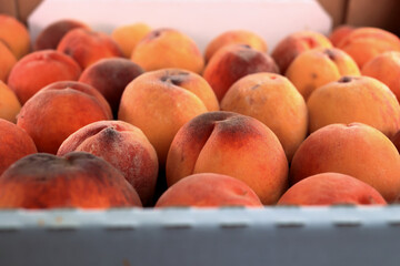 Fresh Peaches In Box Ready For Sale View