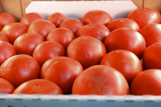 Fresh Red Tomatoes In Box For Sale Texture.