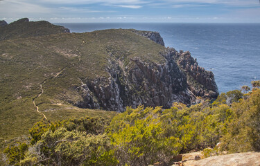 Breathtaking view of Cape Hauy Tasmania featuring rugged cliffs lush greenery and the vast ocean. Australia