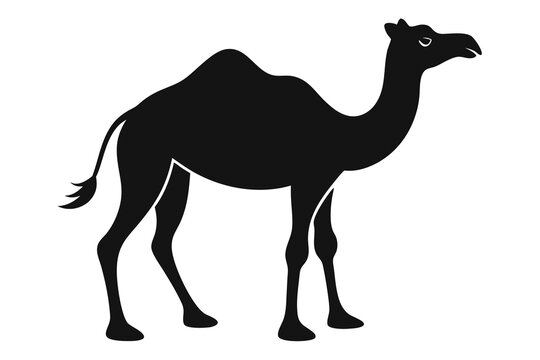 camal black color silhouette white background I.eps