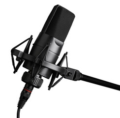 microphone isolated. Condencer Mic for studio recording voice