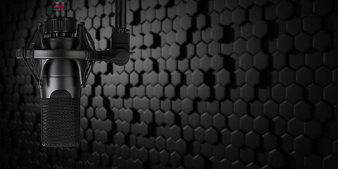 professional microphone used to record podcast. Mic for online livestreaming