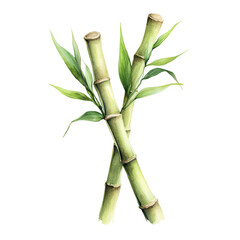 Fototapeta premium Japanese Spring Clipart Vector Illustration