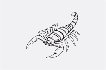 A black and white line drawing of a scorpion with a detailed depiction.