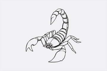 A black and white line drawing of a scorpion with a detailed depiction.