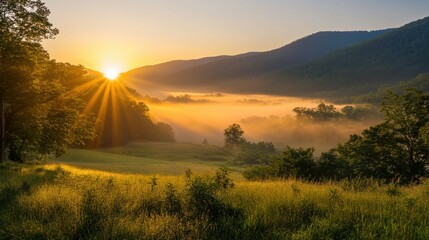A serene mountain sunrise, where golden light breaks through morning mist to illuminate a quiet, untouched valley.