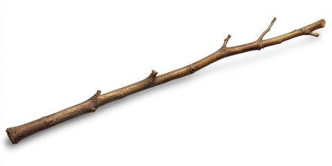 Single, dry, brown tree branch isolated on white background. (1)