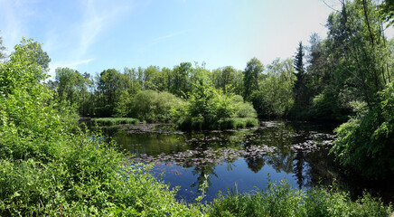 Dornsee bei Dietzenbach