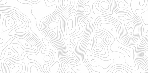 Topographic contours map background. Panorama view gradient multicolor wave curve lines.  Abstract Topographic map background with wave line. White wave paper curved. Transparent PNG available. Blank.