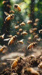 Fototapeta premium Swarm of Bees Circling Around Compost Pile Highlighting Organic Waste and Pest Attraction