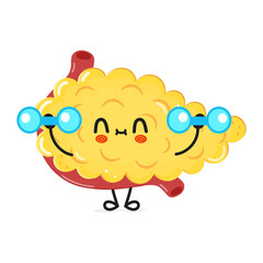 Cute funny Pancreas character with dumbbells. Vector hand drawn cartoon kawaii character illustration icon. Isolated on white background. Pancreas character gym concept