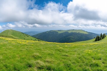 Obraz premium Expansive Green Mountain Landscape Under Cloudy Blue Sky with Scenic View