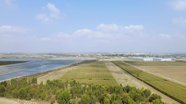 Drone shot of agricultural landscape
A corn field in the middle of harvest, a water reservoir for irrigation.
Blue sky with clouds.
Agricultural settlements in the Judean Lowlands, Israel