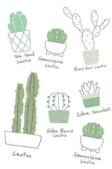 Popular cactus houseplant png doodle with names