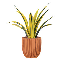 Houseplant PNG sticker, indoor snake plant