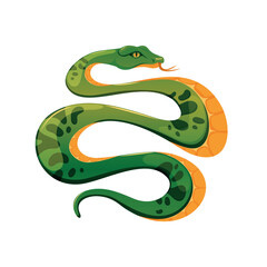 Green snake with orange belly inscribed in circle