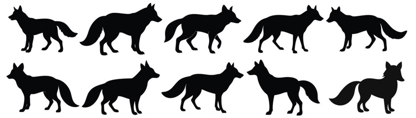 A set fox vector silhouette