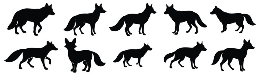A set fox vector silhouette