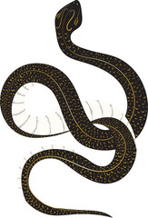 Obraz premium snake in the shape of a snake