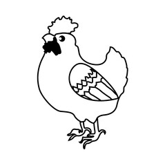 chicken vector illustration with line art. 