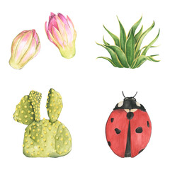 Ladybug and cactus sticker png set