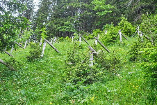 Three leg mountings are structures used as snow slide barriers to prevent avalanches by increasing ground roughness and decreasing snow movement