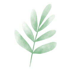 Obraz premium Watercolor leaf png element, transparent background