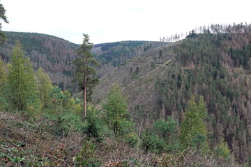 Winbruch in Thueringen