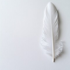 A delicate white feather lies on a smooth, light surface, showcasing its fine details and soft textures.